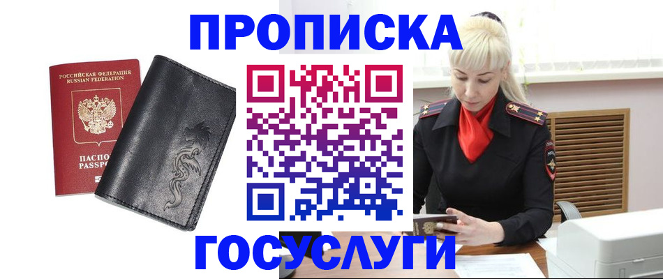 прописка поиск в Ельне
